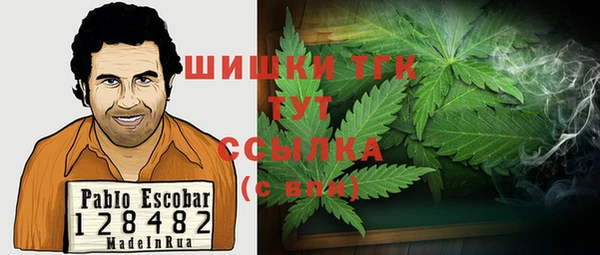 MESCALINE Переславль-Залесский