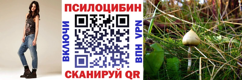 дарнет шоп  Черняховск  Псилоцибиновые грибы мицелий 