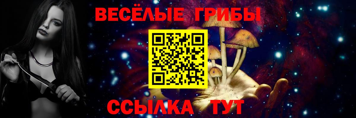 как найти закладки  Вход с VPN  Черняховск  Псилоцибиновые грибы Psilocybe 