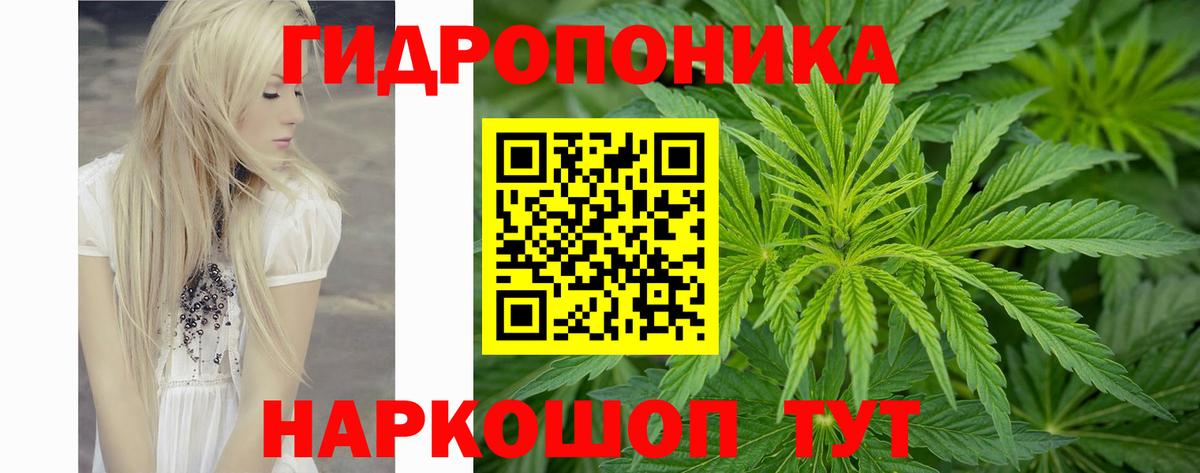 Черняховск  Марихуана тримм  Марихуана LSD WEED  Бошки Шишки THC 21%  МАРИХУАНА семена  Вход с VPN 
